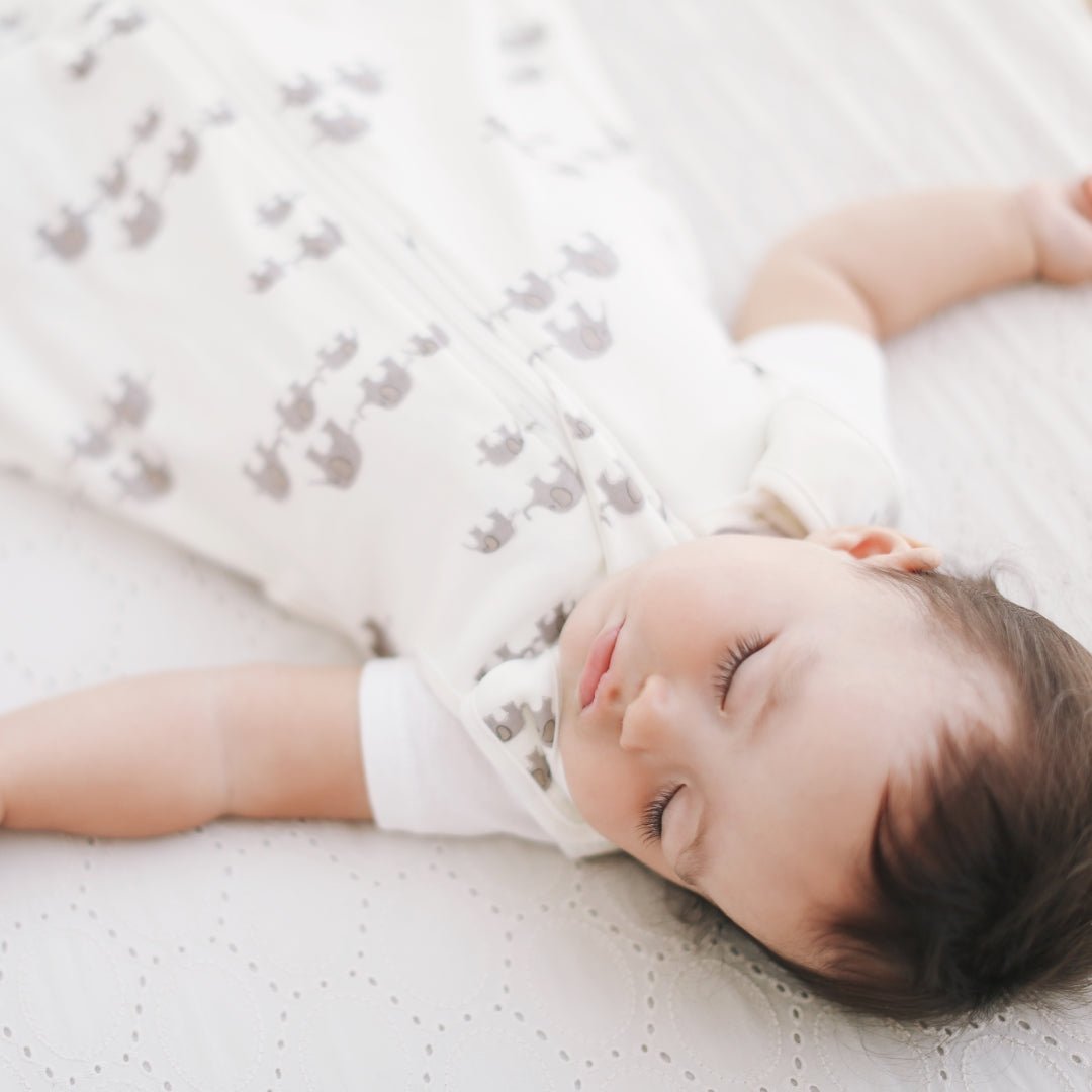 Vreća za spavanje Ergobaby, ekstra topla, 0-6/S - Mini Bambini