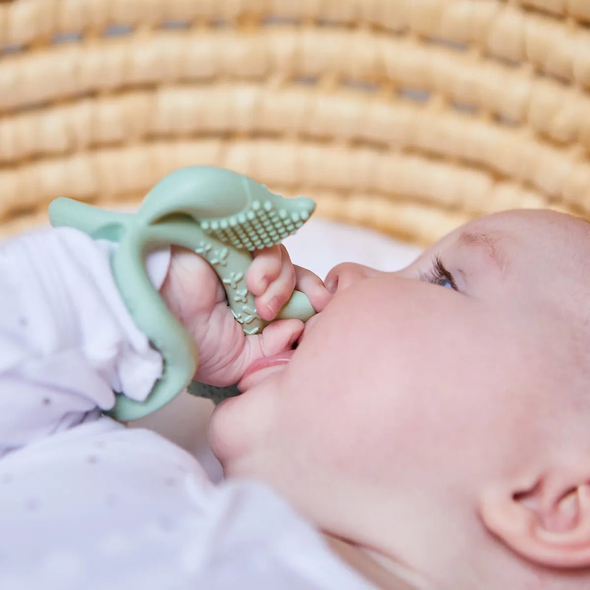 b.box Silikonska glodalica – Sage - Mini Bambini